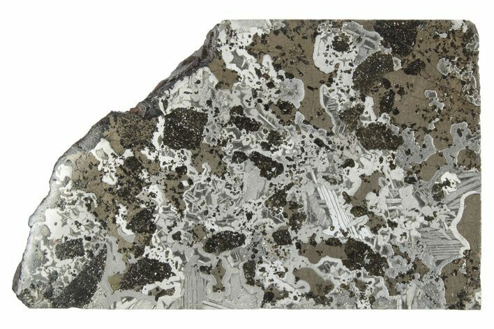 Polished Maslyanino Iron Meteorite Slice ( g) - Russia #242965